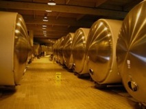 Domain Chandon steel barrels - Napa	- Napa
