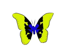 “butterfly”