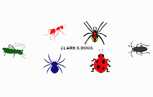 “bugs”