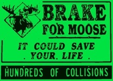 Brake for Moose