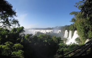 iguana falls