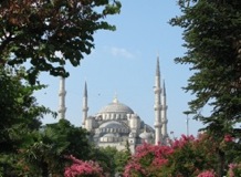 Blue Mosque Framed in Trees - Istanbul