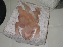 Horned Toad Alabaster