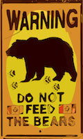 feed bears