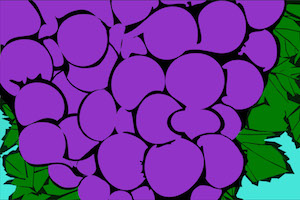 grapes"