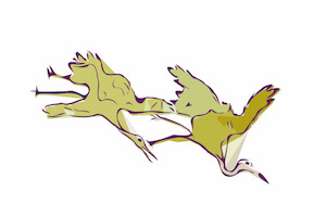 crane