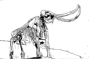 mastodon