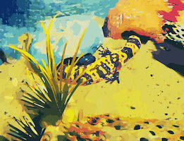 Gila monster