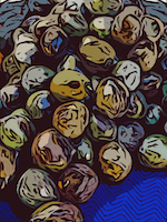 coconuts