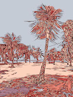 Bahamas