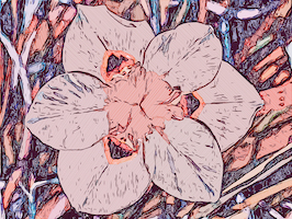 flower