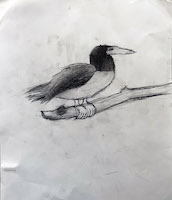graphite