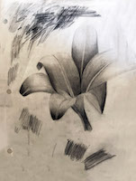 graphitel