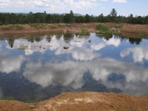 Pond Reflection - Happy Jack, Arizona