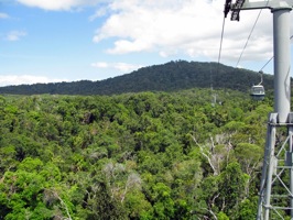 Karawanga Rain Forest