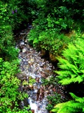 Glenco Creek