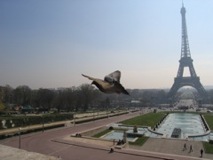 Tour Eiffel Bird Flyby