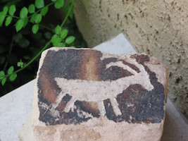Big Horn Sheep