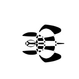 Sea Turtle